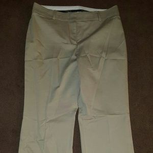 Ann Taylor Dress Pant